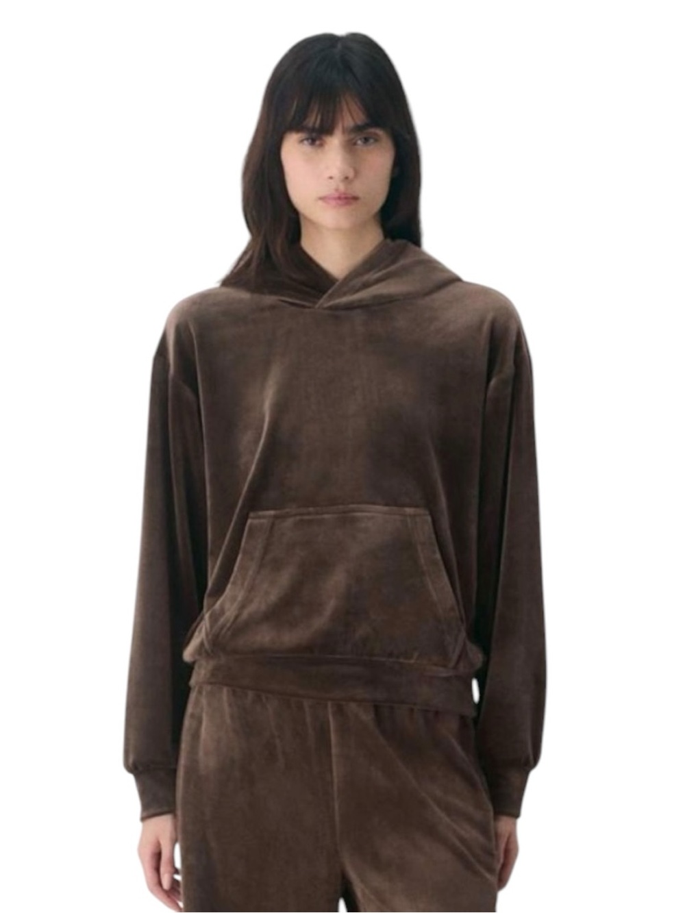 TNA Aritzia Audrina Velour Hoodie
